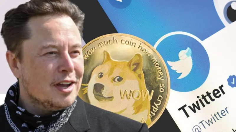 Will Dogecoin fall if Elon Musk steps down as Twitter CEO?