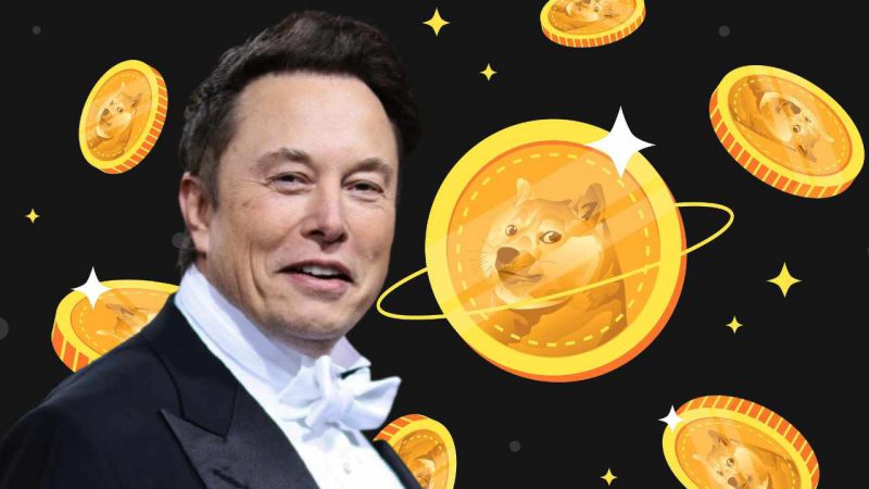 will Elon Musk Talk to Dogecoin Army?