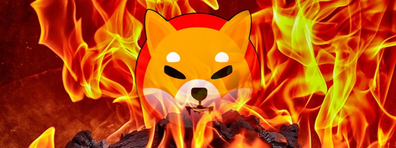 Shiba Inu Burn Rate Drops Even When Price Spikes