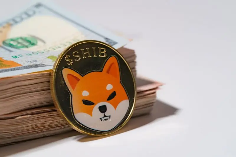 Shiba Inu Developer Provides Optimism as SHIB Loses 50,000 Holders in a Week