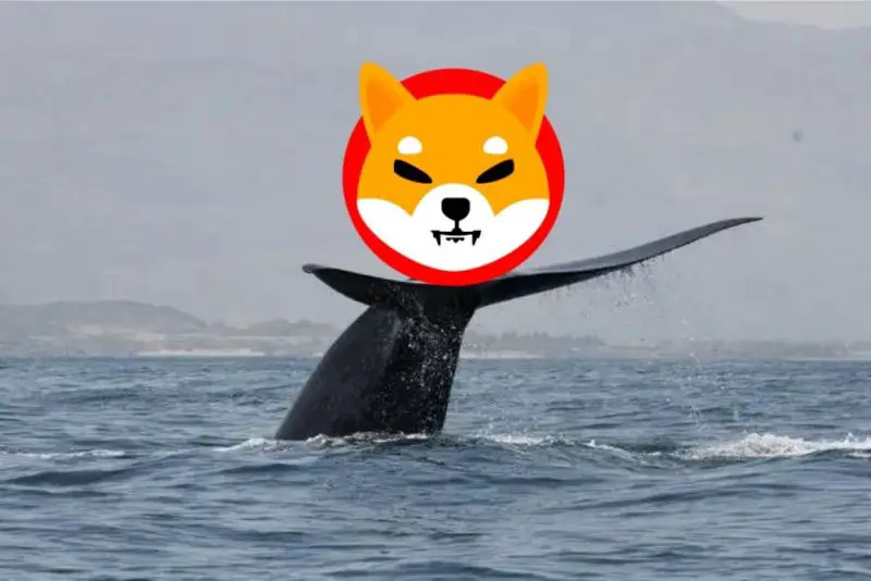 Shiba Inu: Whale Adds More Than 150 Billion SHIB in Buying Spree