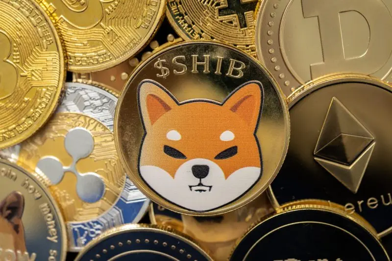 Shiba Inu Whales Buy 33.4 Billion SHIB in 30 Minutes