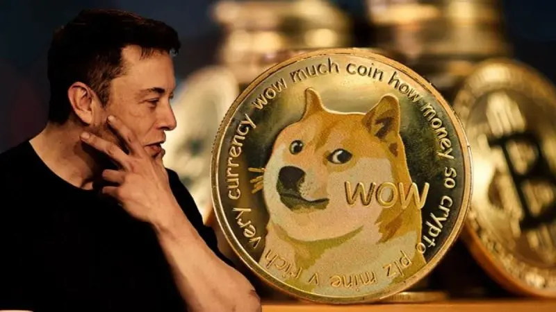 Elon Musk Denies Owning Dogecoin Wallets Amid Lawsuit