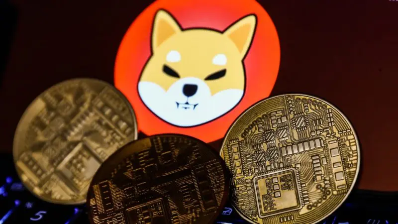 Shiba Inu Burn Rate Falls as SHIB Price Plummets 16% in a Week