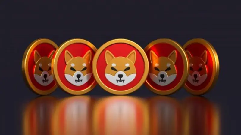 Shiba Inu: 91% of SHIB Holders are Currently Losing Money