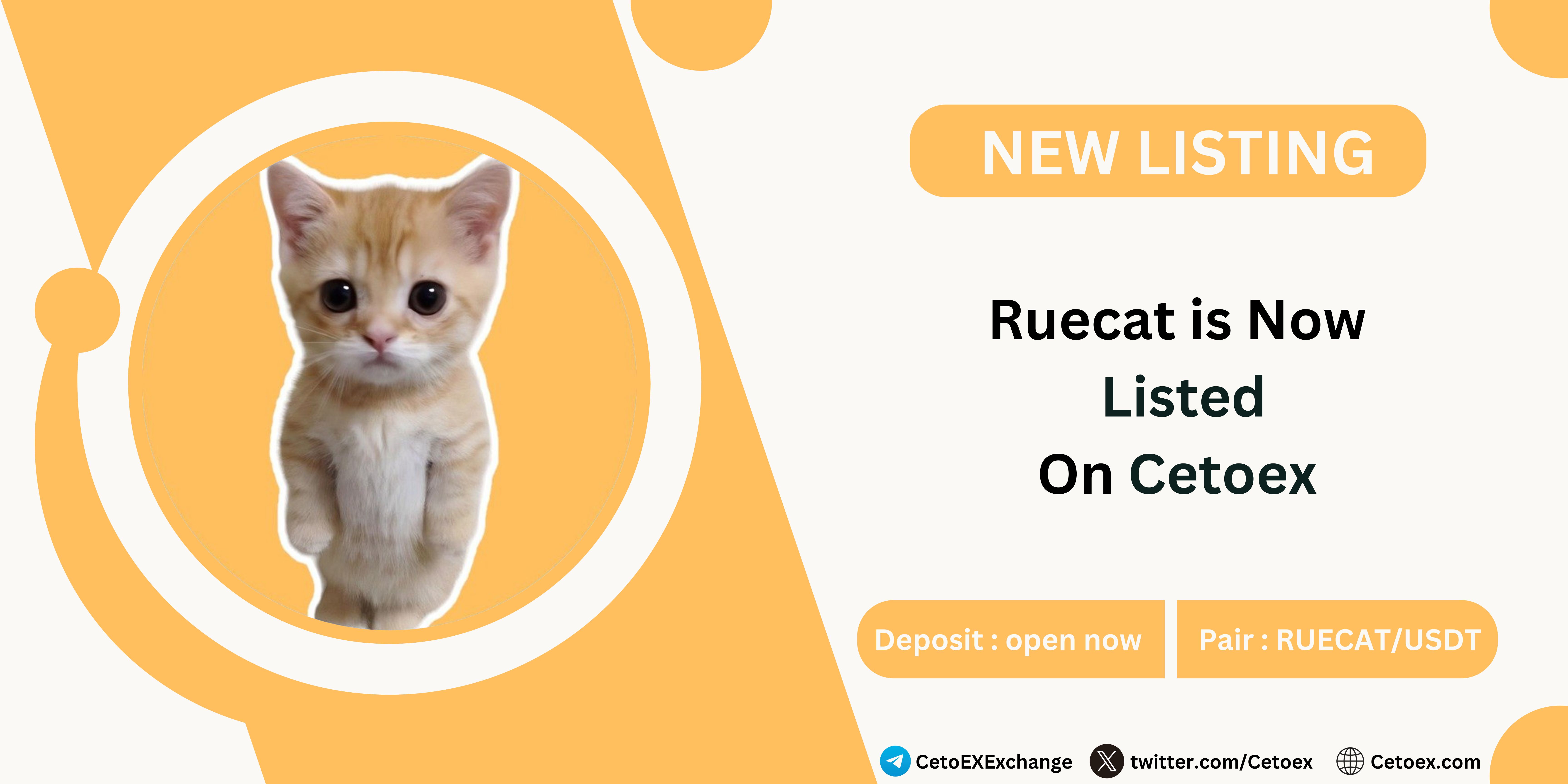 Ruecat (RUECAT) Officially Listed on Cetoex Exchange